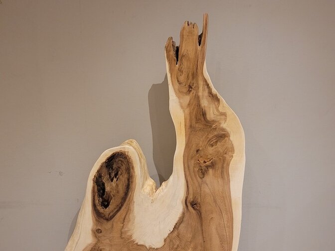 Suar sculptuur 80x170x35cm