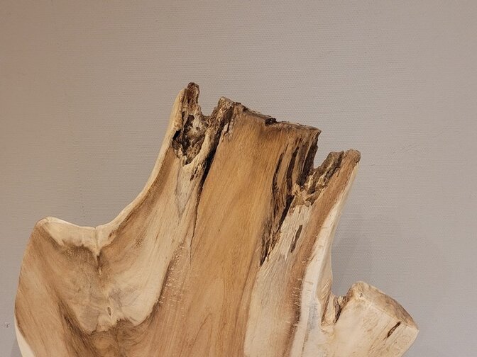 Suar sculptuur 60x150x35cm - AG2404-03