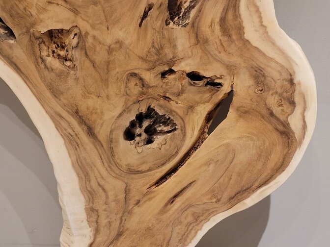 Suar sculptuur 110x190x35cm - AG2404-04