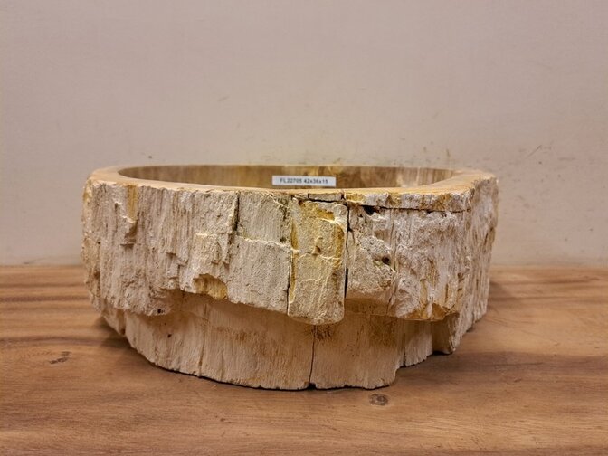 Waskom van versteend hout - 42x36x15cm - FL22705