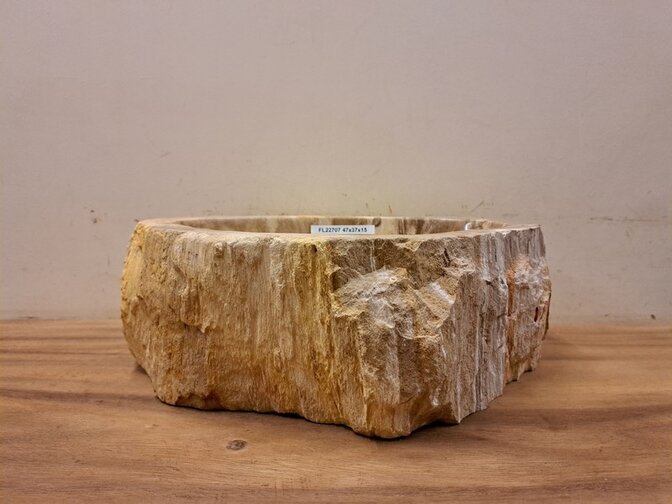 Waskom van versteend hout - 47x37x15cm - FL22707