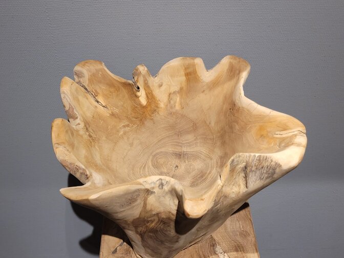 Teak wortelhout vaas stervorm 30/35x30cm