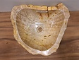 Waskom van versteend hout - 44x38x15cm - FL22802