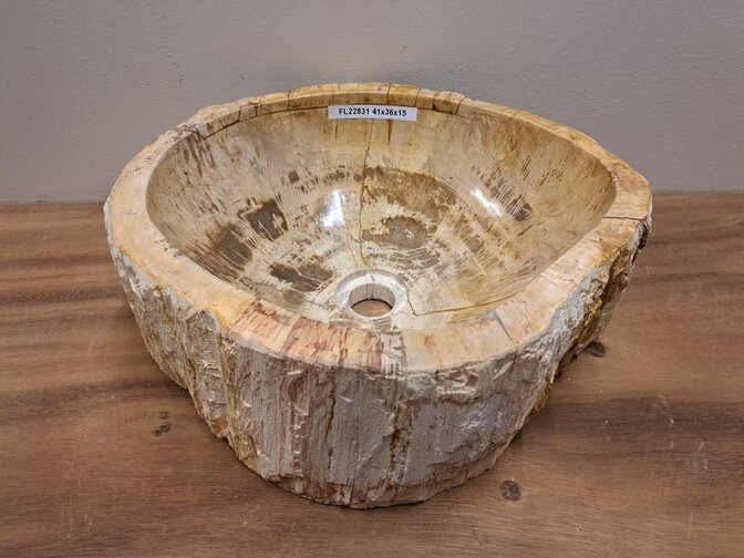 Waskom van versteend hout - 41x36x15cm - FL22831