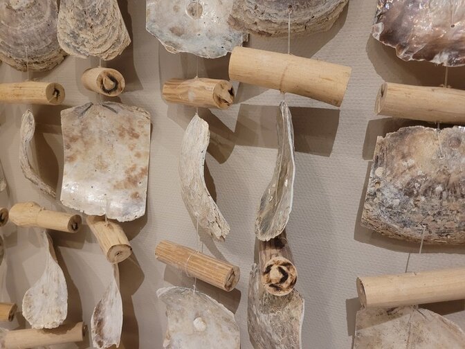 Raamdecoratie - Oesterschelpen - 60x100cm