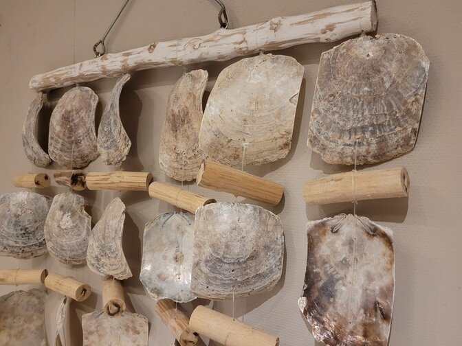 Raamdecoratie - Oesterschelpen - 60x100cm