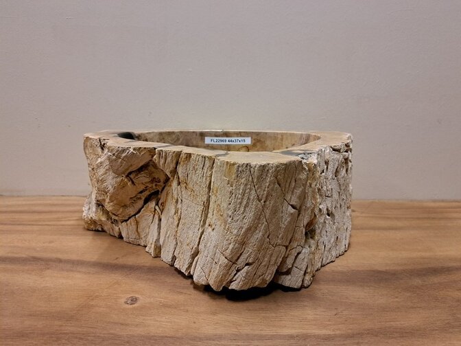 Waskom van versteend hout - 44x37x15cm - FL22969