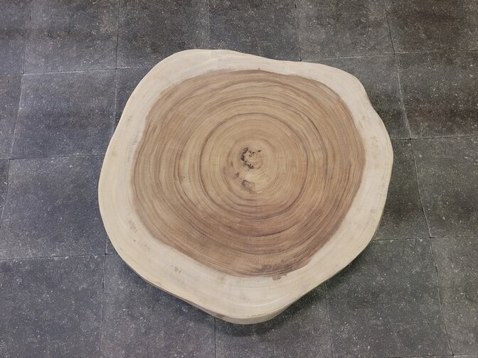 Boomstam tafelblad rond 85/90x7cm AG05-924