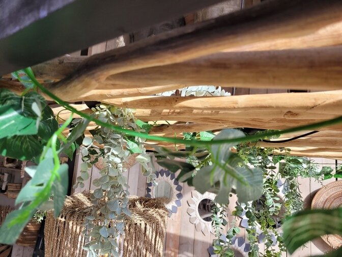 Planfond decoratie met takken - 120x200cm