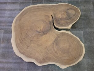 Boomstam tafelblad rond 140/170cm CA15-1224