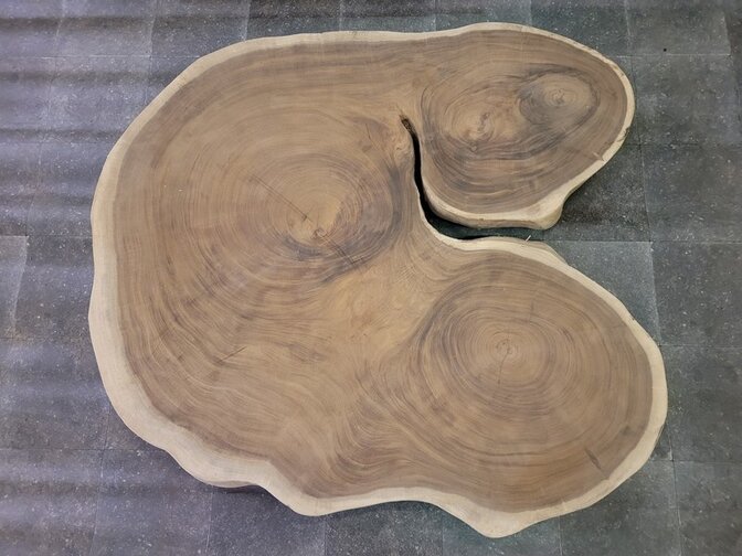 Boomstam tafelblad rond 140/170cm CA15-1224