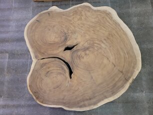 Boomstam tafelblad rond 155/165cm CA09-1224