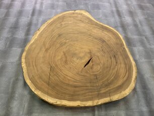 Ronde Boomstamtafel blad 150/165cm CA69-1124