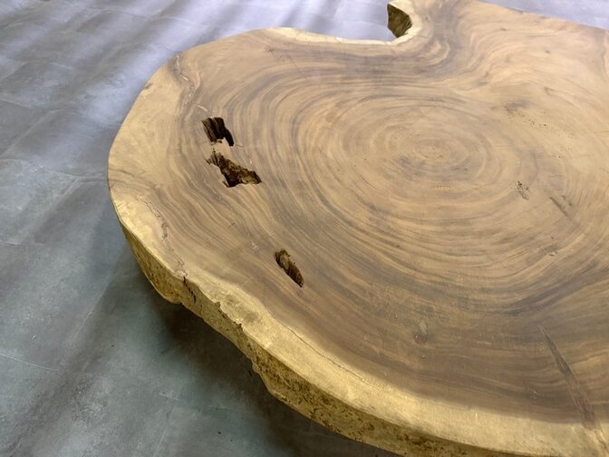 Ronde Boomstamtafel blad 170/190cm CA82-1124