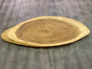Ovale boomstamtafel 105x250cm CA101-224