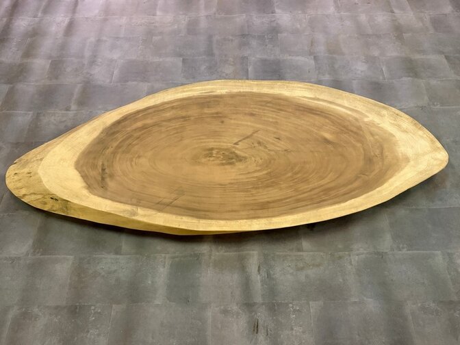 Ovale boomstamtafel 105x250cm CA101-224