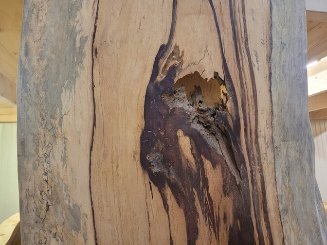 Tafelblad Tamarinde hout - per meter