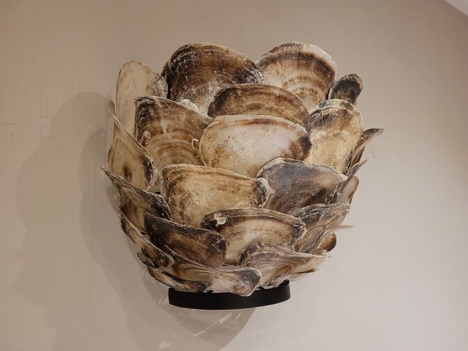 Wandlamp met oesterschelpen - 25x20cm