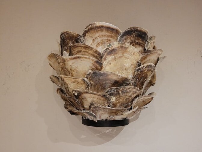 Wandlamp met oesterschelpen - 30x25cm