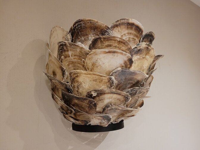 Wandlamp met oesterschelpen - 30x25cm