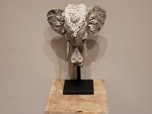 Olifantenkop met schelpen - 30x45cm