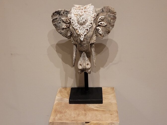 Olifantenkop met schelpen - 30x45cm