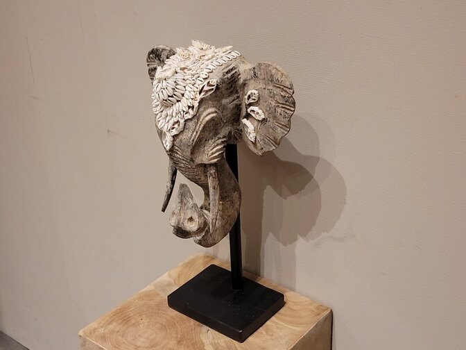 Olifantenkop met schelpen - 30x45cm