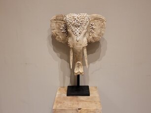 Olifantenkop met schelpen - 35x55cm