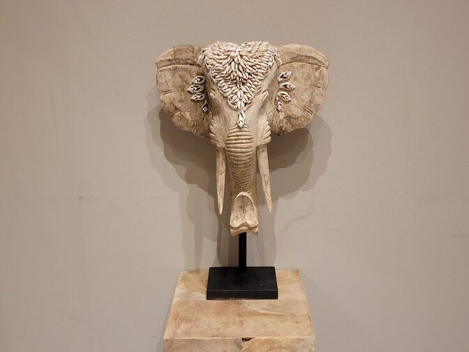 Olifantenkop met schelpen - 35x55cm