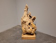 Hout sculptuur met verlichting - 50cm
