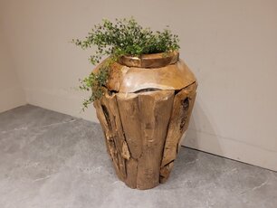 Vaas van Wortelhout  60cm