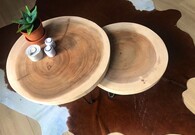 Boomstam salontafel