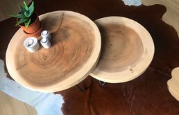 Boomstam salontafel