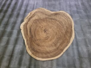 Ronde boomstamtafel 160/170cm CA96-1124