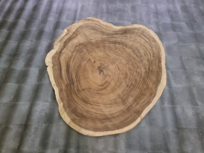 Ronde boomstamtafel 160/170cm CA96-1124