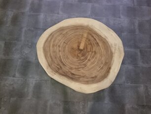 Ronde boomstamtafel 90/105cm CA01-323
