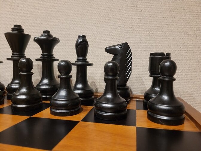 Houten schaakbord 55x55cm