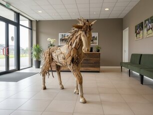 Groot staand paard - drijf hout L250cm