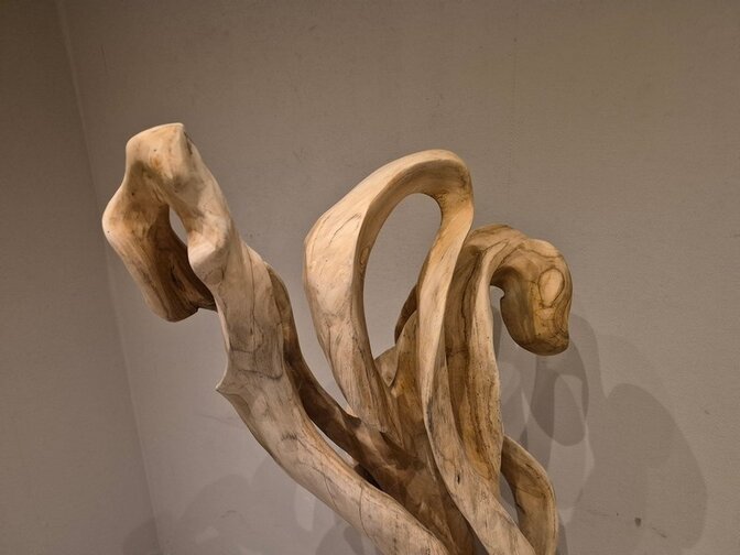 Teak Wortel Sculptuur - 40x40x150cm