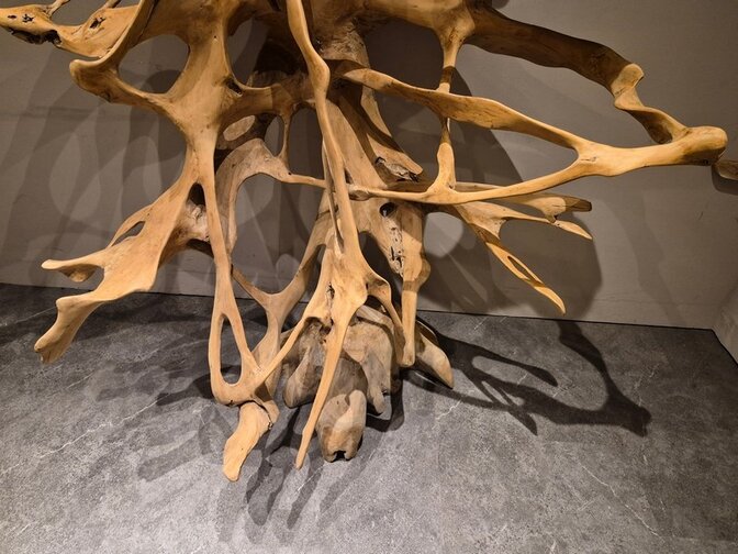 Teak Wortel Sculptuur - 190 x 240 x 100cm