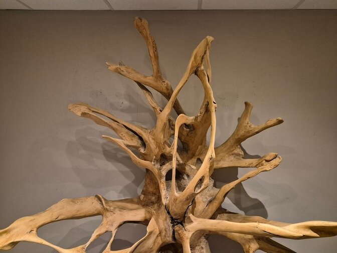 Teak Wortel Sculptuur - 190 x 240 x 100cm