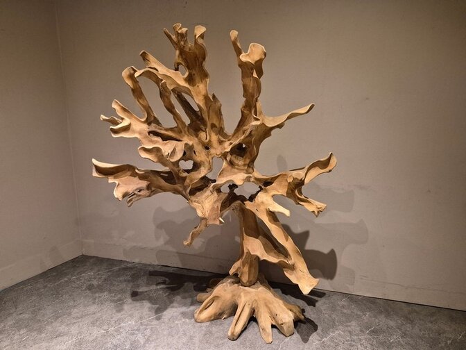 Teak Wortel Sculptuur - 130 x 170 x 60cm
