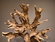 Teak Wortel Sculptuur - 130 x 170 x 60cm