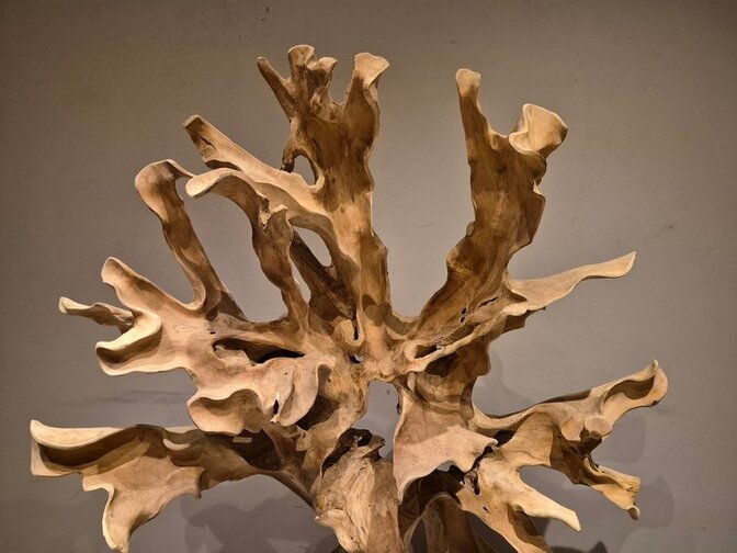 Teak Wortel Sculptuur - 130 x 170 x 60cm