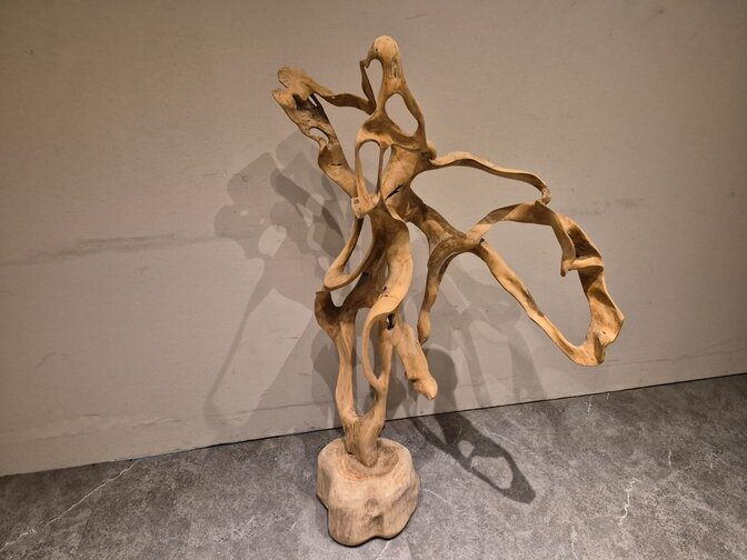 Teak Wortel Sculptuur - 80x130x40cm