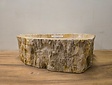 Waskom van versteend hout - 54x37x15cm - FL23519