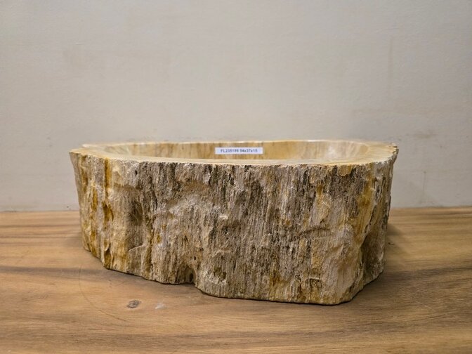 Waskom van versteend hout - 54x37x15cm - FL23519