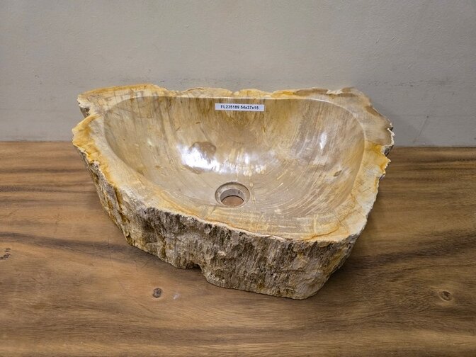 Waskom van versteend hout - 54x37x15cm - FL23519