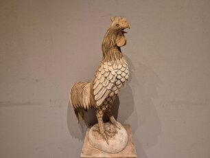 Staande haan - 40x20x70cm