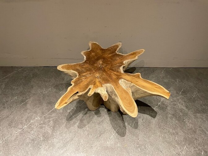 Wortelhout salontafel 90/95x40cm IJ04-2554